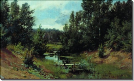 Лесной ручей, 1870 - Шишкин, Иван Иванович