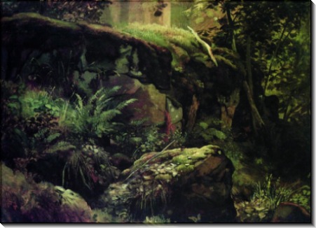 Камни в лесу. Валаам, 1858-1860 - Шишкин, Иван Иванович