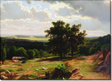 Вид в окрестностях Дюссельдорфа, 1864-1865 - Шишкин, Иван Иванович