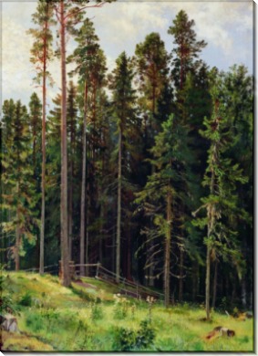 Лес, 1892 - Шишкин, Иван Иванович