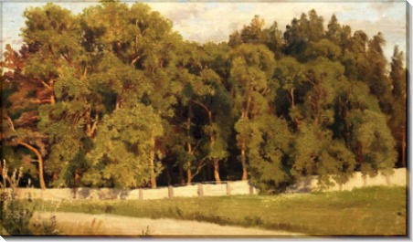 Лес за оградой, 1898 - Шишкин, Иван Иванович
