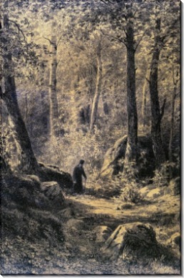 Вид на острове Валааме, 1860-е - Шишкин, Иван Иванович