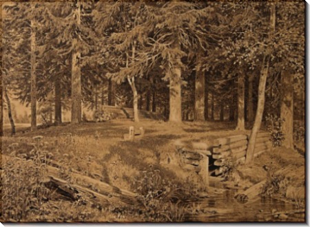 Еловый лес (У ручья), 1890 - Шишкин, Иван Иванович