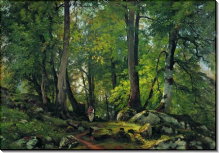 Буковый лес в Швейцарии, 1863-1864 - Шишкин, Иван Иванович