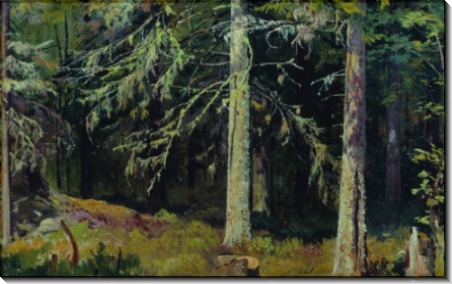 Еловый лес, 1890 - Шишкин, Иван Иванович