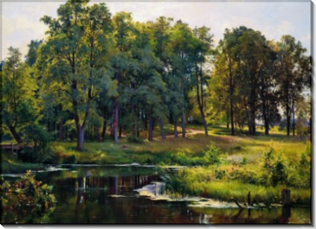 В парке, 1897 - Шишкин, Иван Иванович
