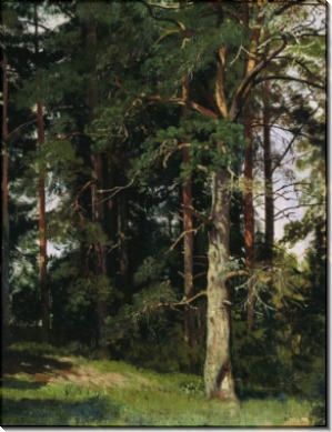 Лес (этюд), 1880-е - Шишкин, Иван Иванович