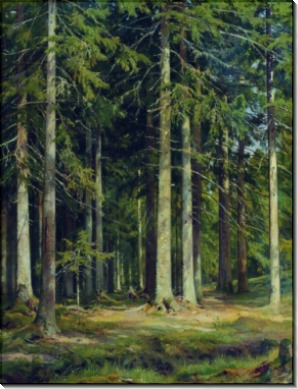 Еловый лес, 1891 - Шишкин, Иван Иванович