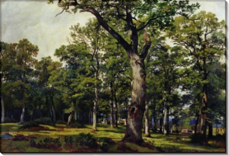 Дубовый лес, 1869 - Шишкин, Иван Иванович