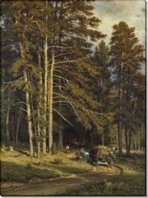 Лесная дорога, 1871-1872 - Шишкин, Иван Иванович