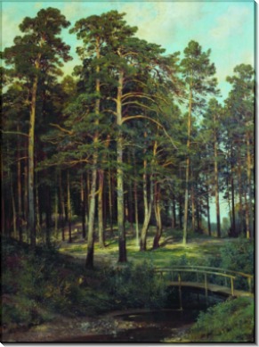 Мостик в лесу, 1895 - Шишкин, Иван Иванович