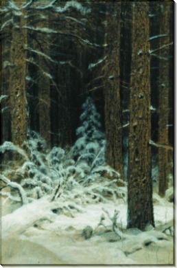 Зимой, 1883 - Шишкин, Иван Иванович