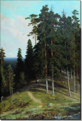 Лес с горы. 1895 - Шишкин, Иван Иванович