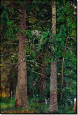 Еловый лес, 1889-1890 - Шишкин, Иван Иванович