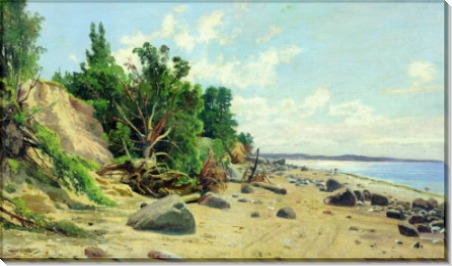 Берег моря, 1890 - Шишкин, Иван Иванович