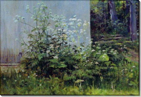 Цветы у забора, середина 1880-х - Шишкин, Иван Иванович