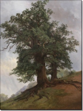 Старый дуб, 1866 - Шишкин, Иван Иванович