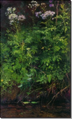 Полевые цветы у воды, 1889-1890 - Шишкин, Иван Иванович