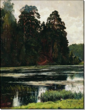 Пруд, 1881 - Шишкин, Иван Иванович