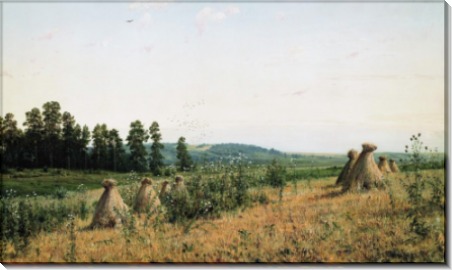 Сжатое поле. Полесский пейзаж, 1884 - Шишкин, Иван Иванович