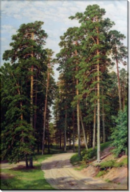 Солнце в лесу, 1895 - Шишкин, Иван Иванович