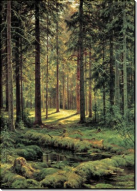 Хвойный лес. Солнечный день, 1895 - Шишкин, Иван Иванович