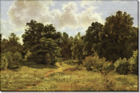 Опушка лиственного леса, 1895 - Шишкин, Иван Иванович