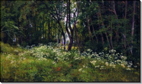Цветы на опушке леса, 1893 - Шишкин, Иван Иванович