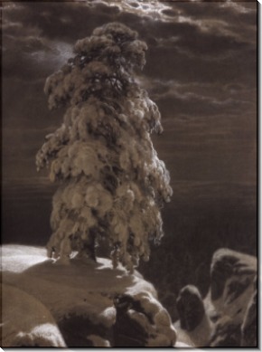 На севере диком, 1890 - Шишкин, Иван Иванович