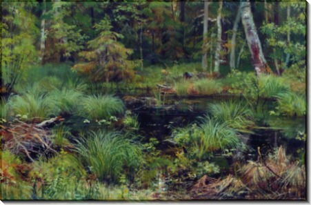Родник в лесу, 1892 - Шишкин, Иван Иванович