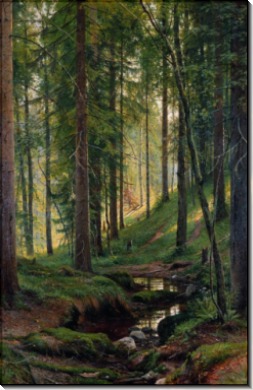 Ручей в лесу (На косогоре), 1880 - Шишкин, Иван Иванович
