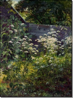 Уголок заросшего сада. Сныть-трава, 1884 - Шишкин, Иван Иванович
