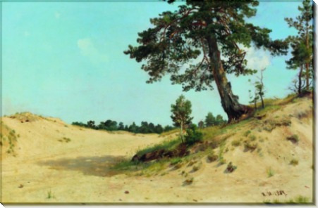 Сосна на песке, 1884 - Шишкин, Иван Иванович