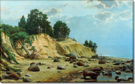 После бури. Мери-Хови, 1891 - Шишкин, Иван Иванович