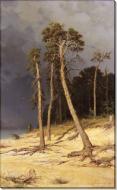 Песчаный берег, 1879 - Шишкин, Иван Иванович
