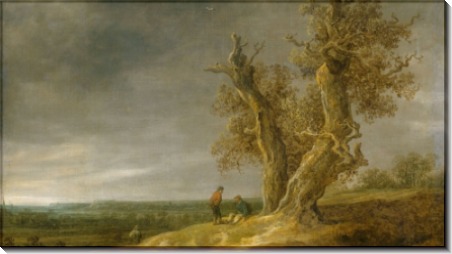 Пейзаж с двумя дубами - Гойен, Ян ван