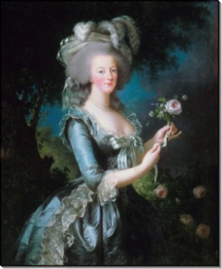 Королева Франции Мария-Антуанетта с розой - Виже-Лебрён, Мари Элизабет Луиза