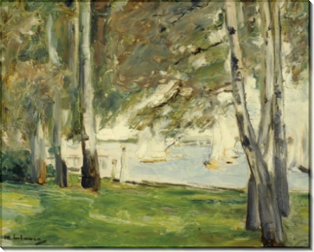 Березы на берегу озера Ванзе, 1924 - Либерман, Макс