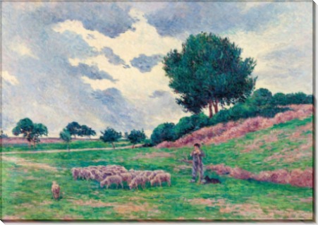 Меревиль, отара овец, 1902-03 - Люс, Максимильен