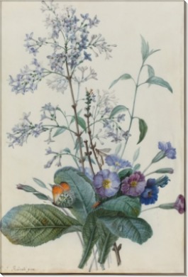 Букет цветов с насекомыми - Редуте, Пьер-Жозеф