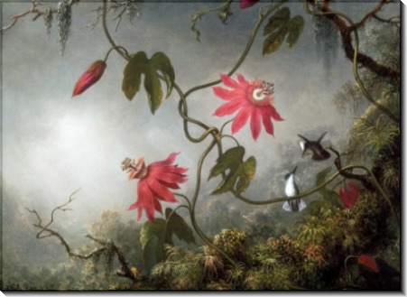 Пейзаж с цветами и колибри - Хед, Мартин Джонсон