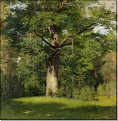 Дуб. 1880 - Левитан, Исаак Ильич