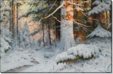 Зимний лесной пейзаж в солнечном свете - Морас, Вальтер