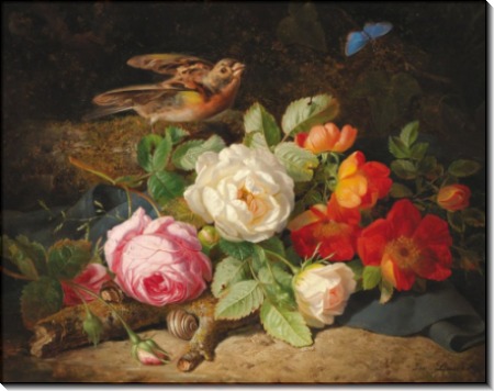 Цветочный натюрморт с малиновкой и голубой бабочкой - Лауэр, Йозеф