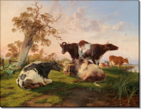 Коровы на лугу - Купер, Томас Сидней