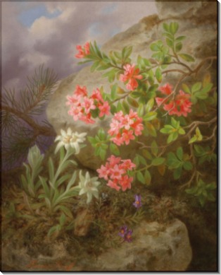 Альпийские цветы - Лауэр, Йозеф