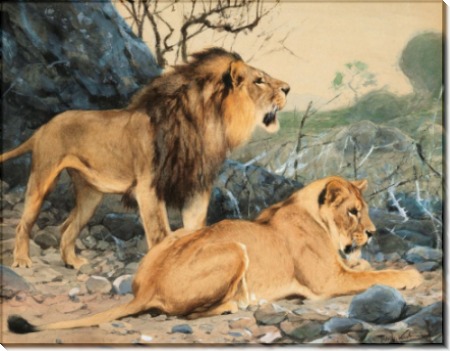Лев и львица в ожидании - Кунерт, Вильгельм
