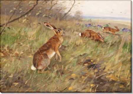 Пейзаж с зайцами в поле - Дратман, Карл