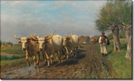 Венгерский крестьянин с бычьей упряжкой - Торен, Отто фон