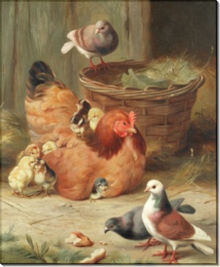Курица породы Род-айланд и три голубя - Хант, Эдгар